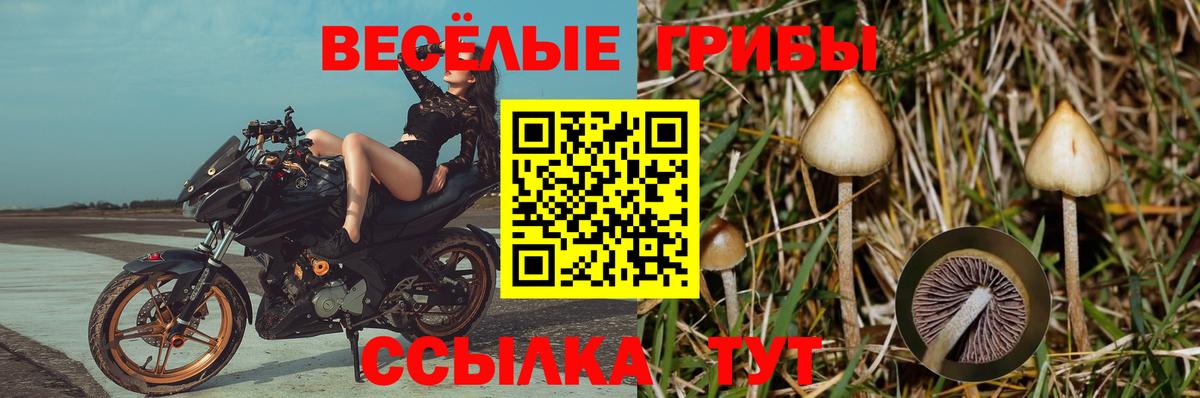 Сегежа  Галлюциногенные грибы Magic Shrooms  Вход с VPN  Псилоцибиновые грибы мухоморы 